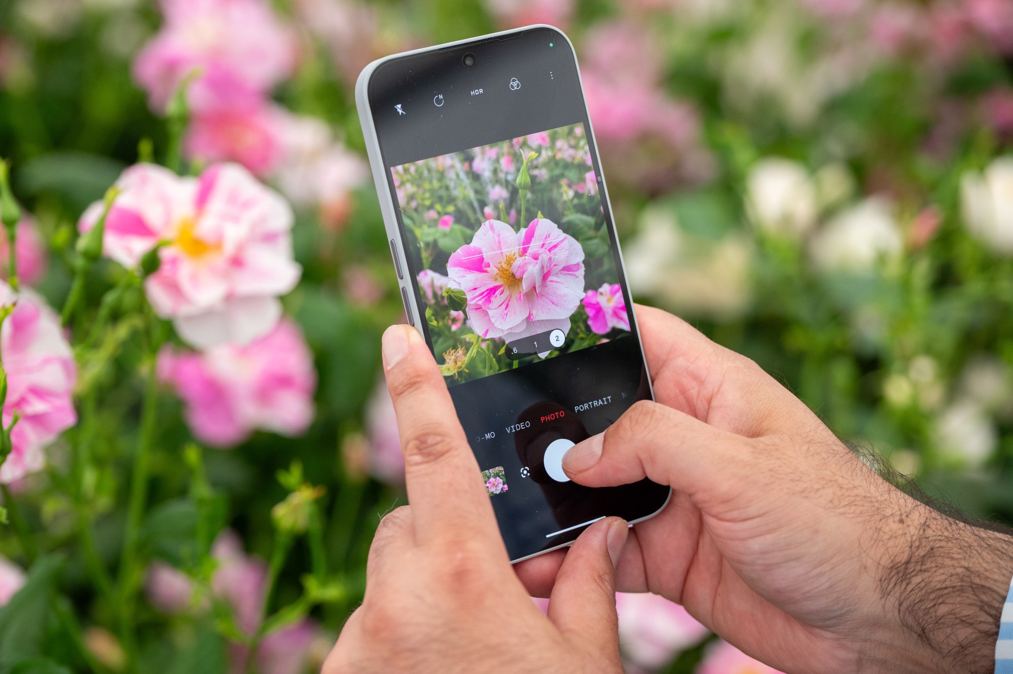 Master gardener columnist Laura Simpson digs into plant identification apps. (Photo by Ben Montgomery/Getty Images)
